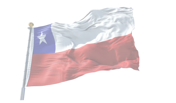 flag-left
